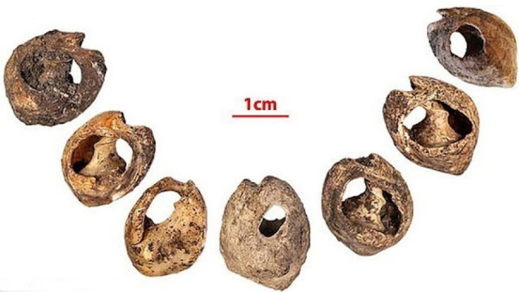 Oldest known shell necklace discovered in Morocco