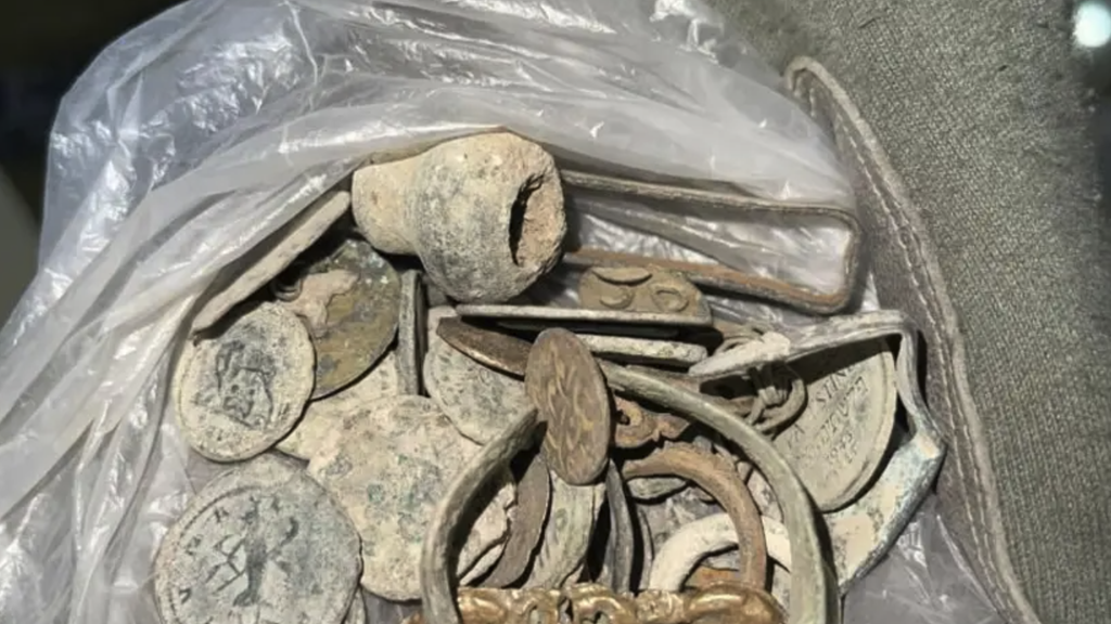 Seized looted antiquities