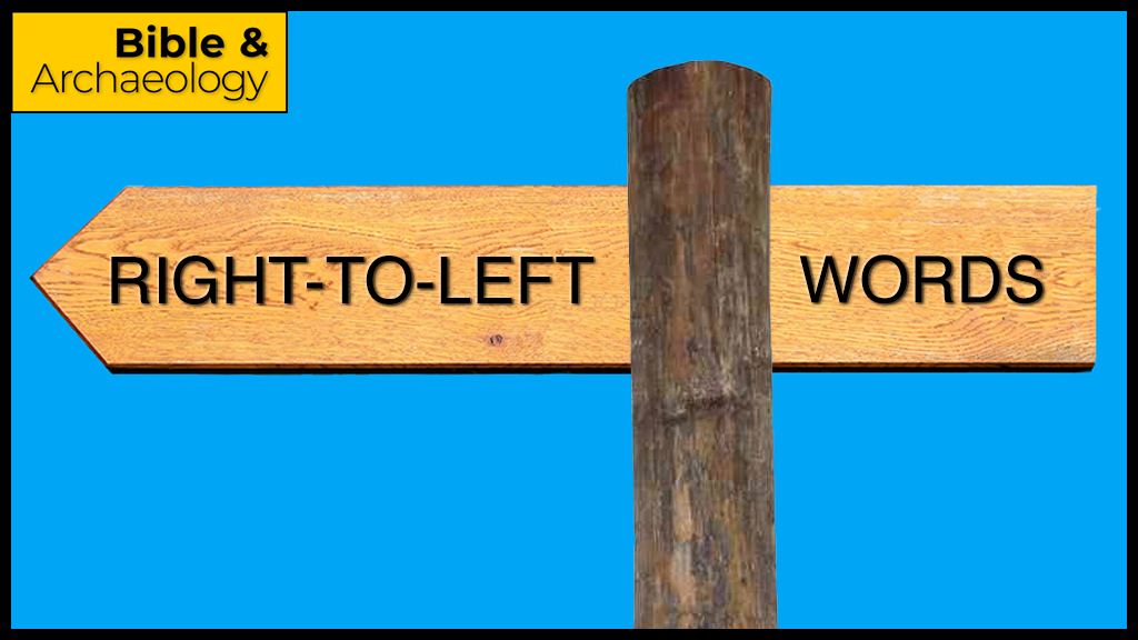 RTL Words Logo (branded)