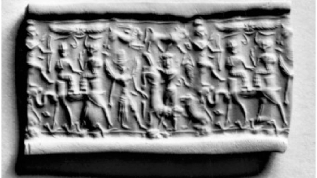 Cylinder Seal with a Two-Humped Camel