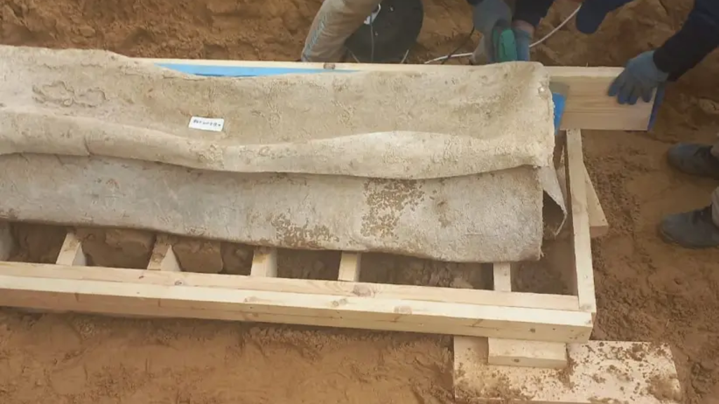 Roman Sarcophagus Gaza