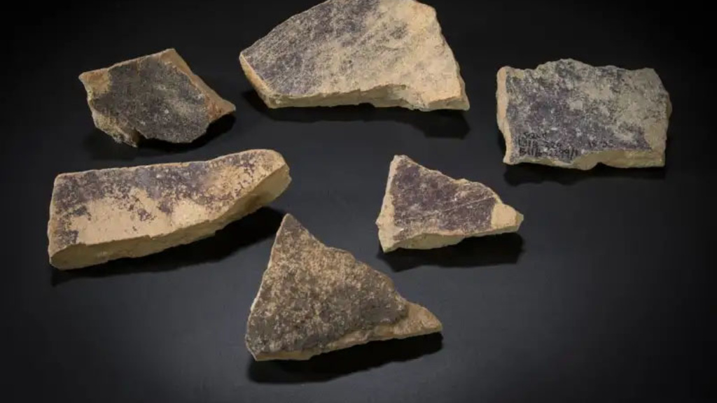 Shards from vats.