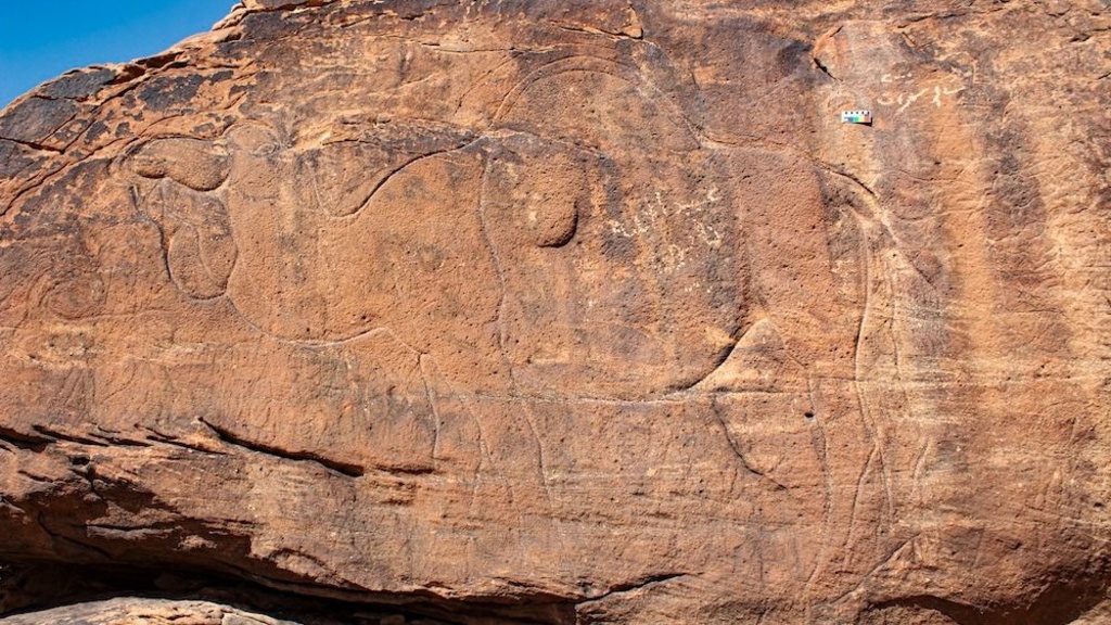 Camel carvings