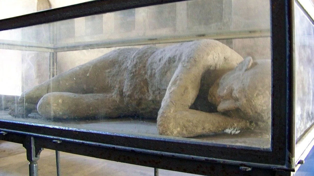 Cast of Pompeii victim