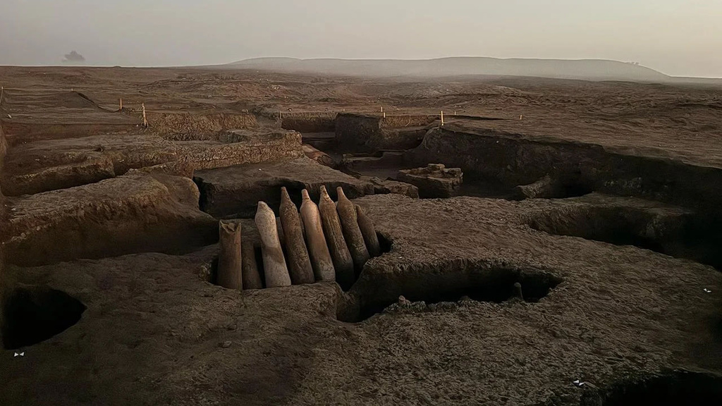 Overview of site in western Nile Delta region