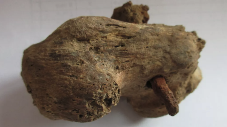 Bone with nail; evidence of crucifixion