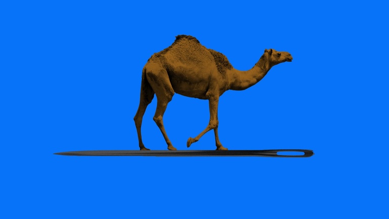 camel and needle