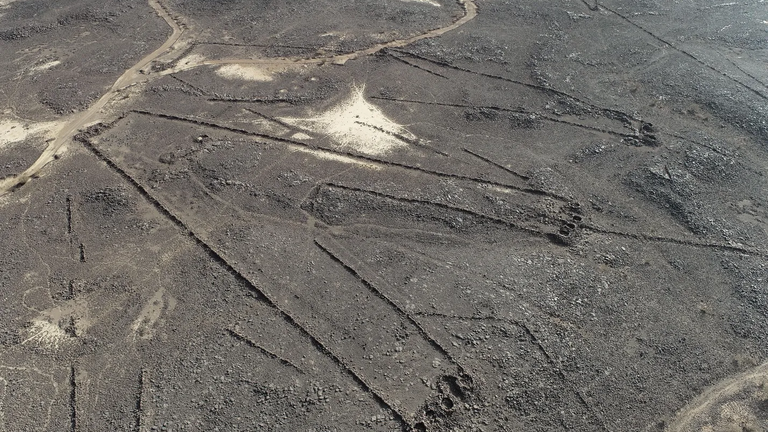desert kite