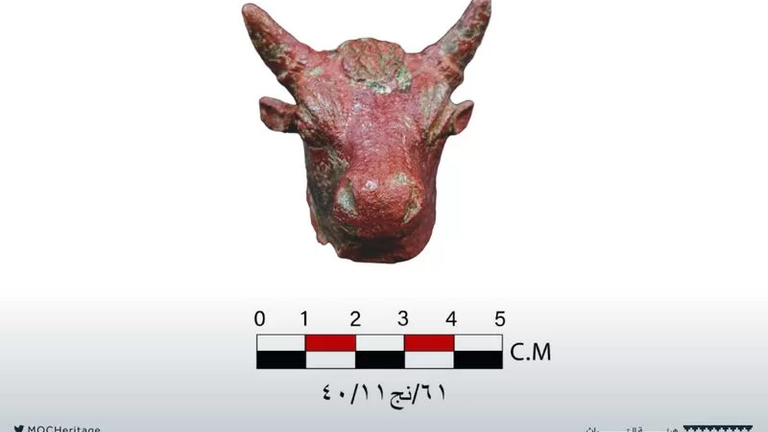 Bull Head