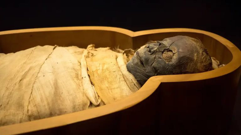 Egyptian Mummy