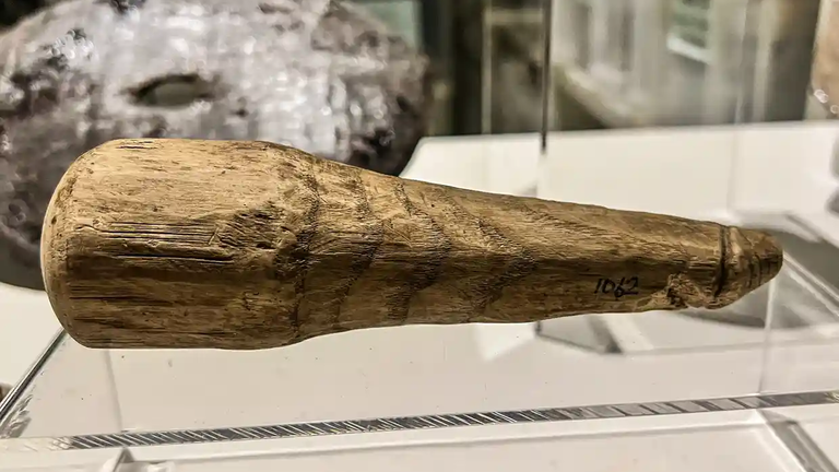 Vindolanda Wooden Phallus